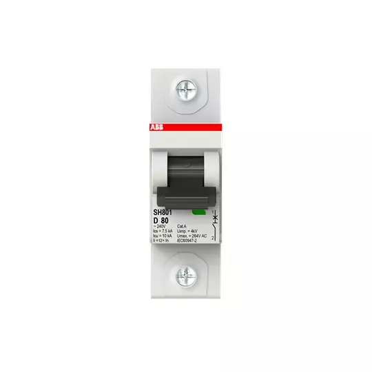 100А MCB